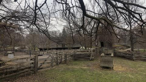 Closed for the Season (2020) - 4C59D62C-7D7B-49F1-A2EB-67BB44BC605E.jpeg