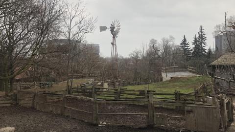 Closed for the Season (2020) - B08E2E64-B8EF-4889-9871-FF975138D30F.jpeg