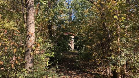 Photo from The Island House