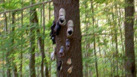 Panic Manic in Shanick - Shanick-(ghost-town-murder)10.jpg