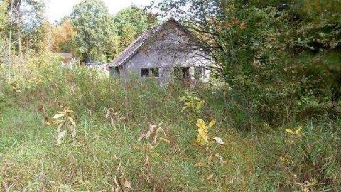 Panic Manic in Shanick - Shanick-(ghost-town-murder)12.jpg