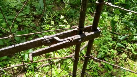 Tunstall family cemetery - IMG_20200628_134929854_HDR.jpg
