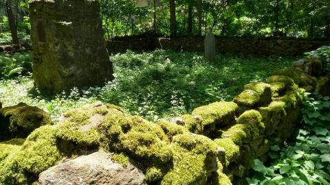 Tunstall family plot photo 4