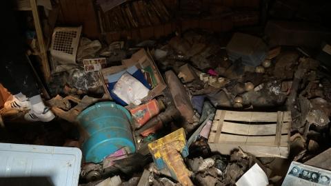 December 9th - IMG_1897.JPG