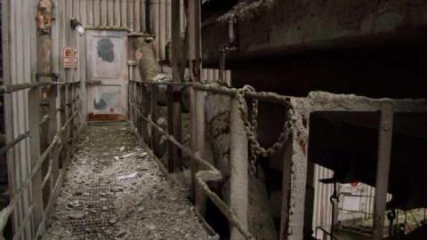 Photo from Ingersoll Abandoned Quarry