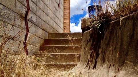 The Bandshell - FullSizeRender(10).jpg