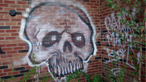 Late Check In May '20 - DSC01821.JPG