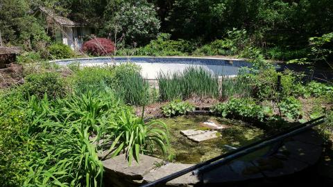 Jagger Castle Mansion June '20 - DSC09519.JPG