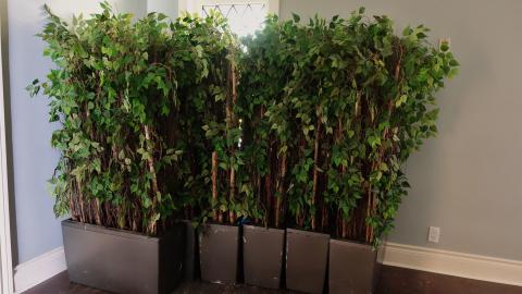 Jagger Castle Mansion June '20 - DSC09453.JPG