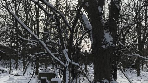 Photo from In The Snow