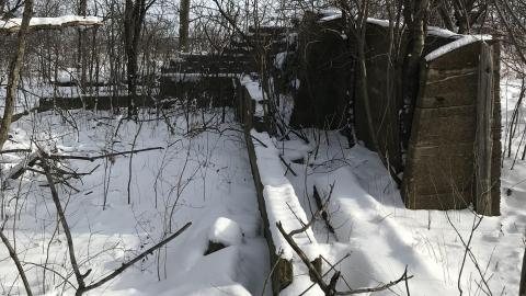 In The Snow - F70FF55E-0481-4665-9E1A-7FB1CBEE7479.jpeg