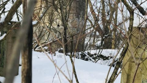 In The Snow - AF256BE0-6B2B-448A-93B2-6DA881665AF7.jpeg