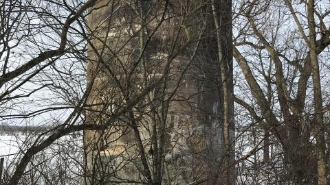 In The Snow - 2DA59F0C-8780-4F21-89A0-C2496B155C82.jpeg