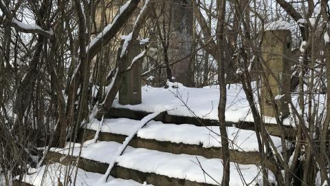 Photo from In The Snow