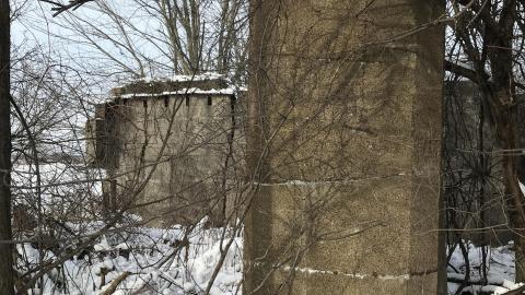 Photo from In The Snow