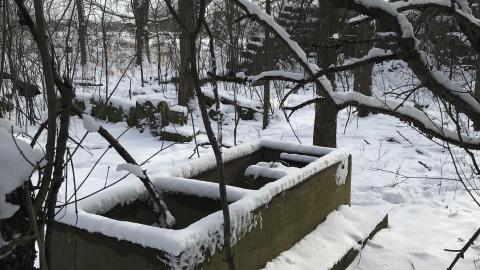 Photo from In The Snow