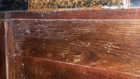 Lounging around - 20201227_164214.jpg