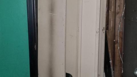 Lounging around - 20201227_163419.jpg