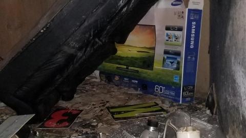 Lounging around - 20201227_163749.jpg