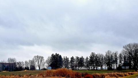 The Neighbours Were Pigs - 20201228_194556.jpg