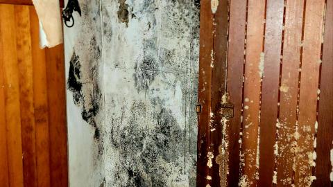 The Neighbours Were Pigs - 20201228_194203.jpg