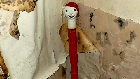 The Neighbours Were Pigs - 20201228_194249.jpg