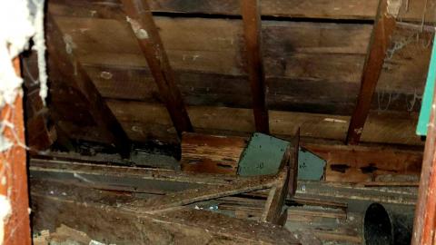 The Neighbours Were Pigs - 20201228_194333.jpg