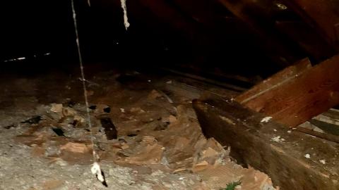 The Neighbours Were Pigs - 20201228_194354.jpg