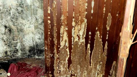 The Neighbours Were Pigs - 20201228_194529.jpg