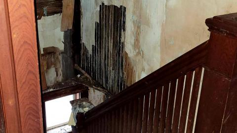 The Neighbours Were Pigs - 20201228_194545.jpg