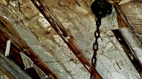 The Neighbours Were Pigs - 20201228_194858.jpg