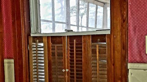 The Neighbours Were Pigs - 20201228_194933.jpg