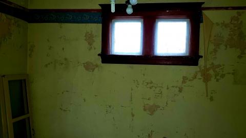 The Neighbours Were Pigs - 20201228_195400.jpg