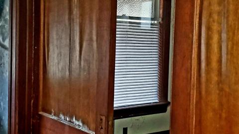 The Neighbours Were Pigs - 20201228_195410.jpg