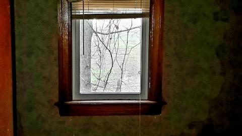 The Neighbours Were Pigs - 20201228_195434.jpg