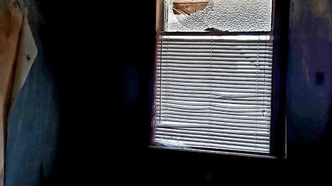 The Neighbours Were Pigs - 20201228_195513.jpg