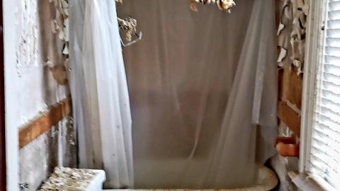 The Neighbours Were Pigs - 20201228_192816.jpg