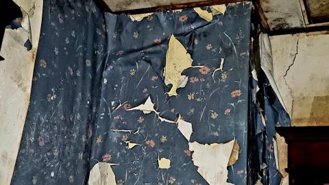 The Neighbours Were Pigs - 20201228_194824.jpg