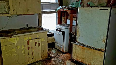 The Neighbours Were Pigs - 20201228_195302.jpg