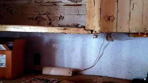 The Neighbours Were Pigs - 20201228_195523.jpg