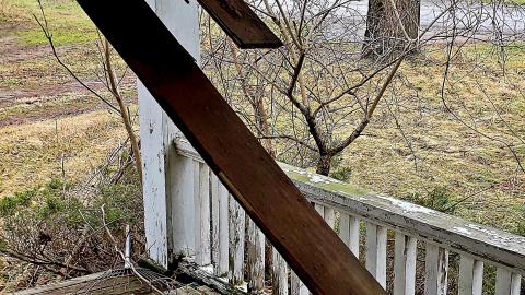 The Neighbours Were Pigs - 20201228_194833.jpg