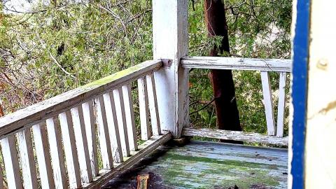 The Neighbours Were Pigs - 20201228_194841.jpg