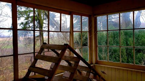 The Neighbours Were Pigs - 20201228_195106.jpg