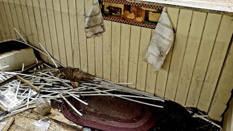 Moldy Little House photo 3