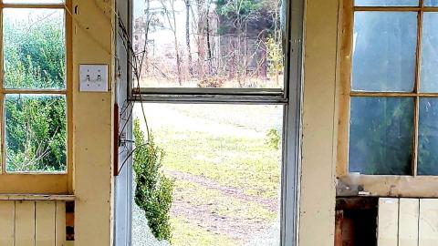 The Neighbours Were Pigs - 20201228_195237.jpg