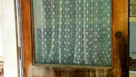 The Neighbours Were Pigs - 20201228_195253.jpg