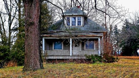 The Neighbours Were Pigs - 20201228_194650.jpg