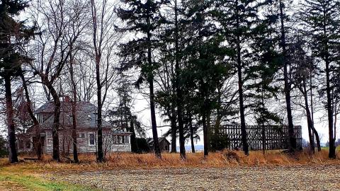 Moldy Little House photo 5