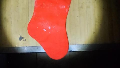 Smells like crap - 20201229_185739.jpg