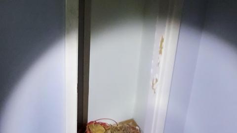 Smells like crap - 20201229_190309.jpg